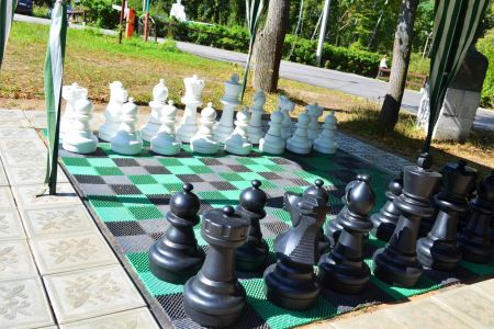 Внешний вид