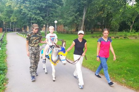 Внешний вид