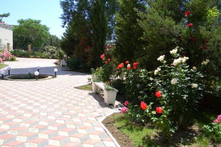 Внешний вид