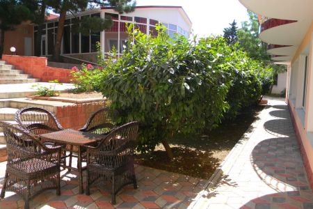 Внешний вид