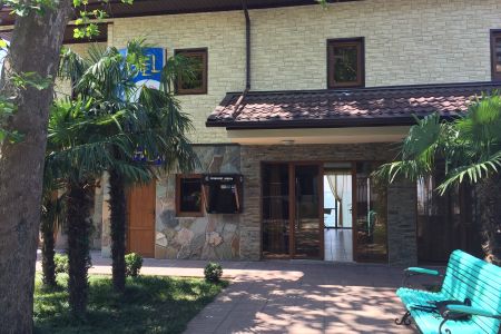 Внешний вид