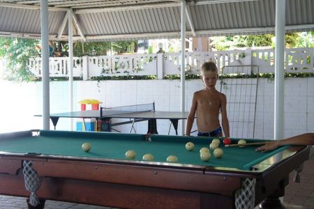 Внешний вид