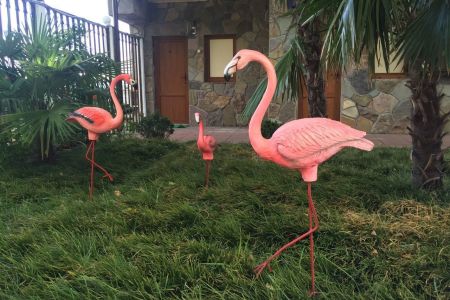 Внешний вид