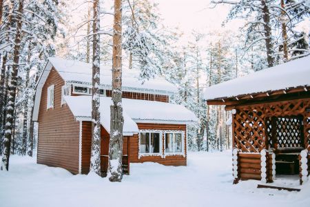 Внешний вид