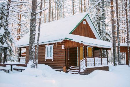 Внешний вид