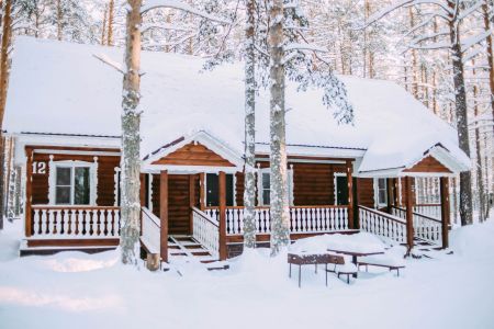 Внешний вид