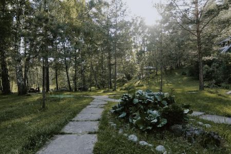 Внешний вид