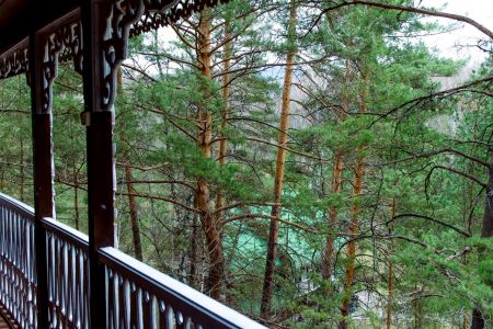 Внешний вид