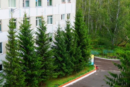 Внешний вид