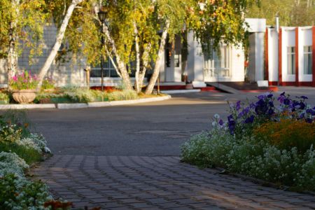 Внешний вид