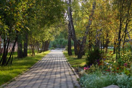 Внешний вид