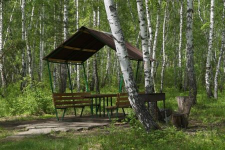 Внешний вид