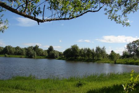 Внешний вид