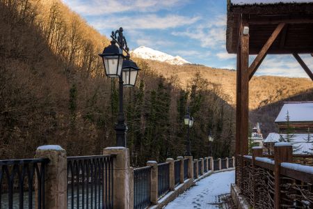 Внешний вид