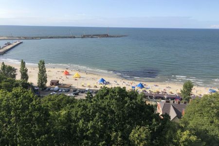 Внешний вид