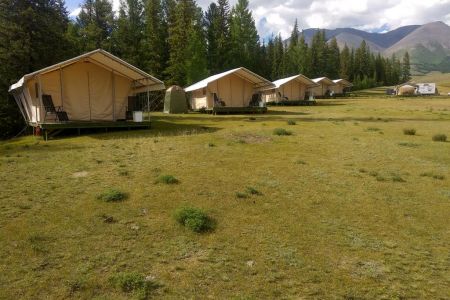 Внешний вид