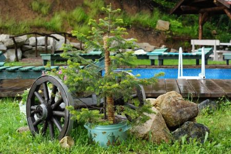 Территория