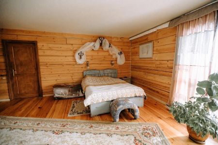 Стандарт+ 2,4,6