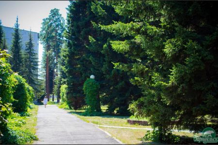 Внешний вид