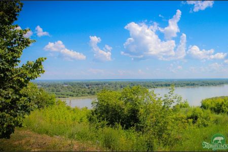 Внешний вид