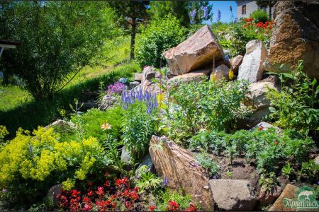 Внешний вид