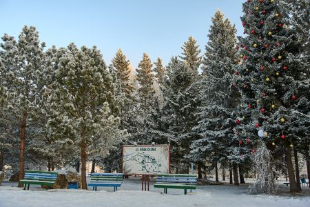 Территория