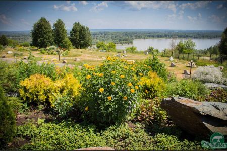 Внешний вид