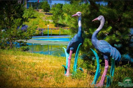 Внешний вид