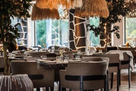 Внешний вид