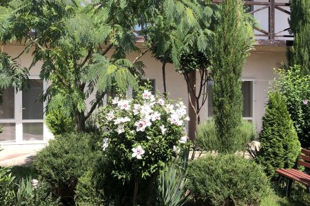 Территория