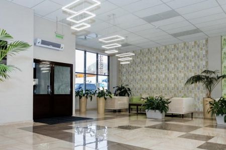 Внешний вид