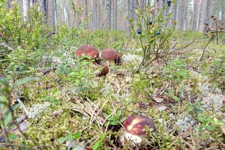 Окрестности