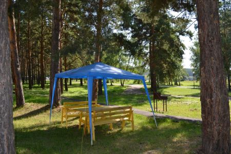 Внешний вид