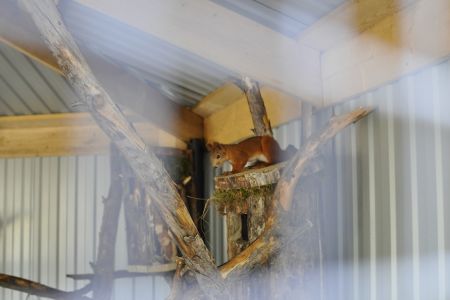 Спелеотерапия