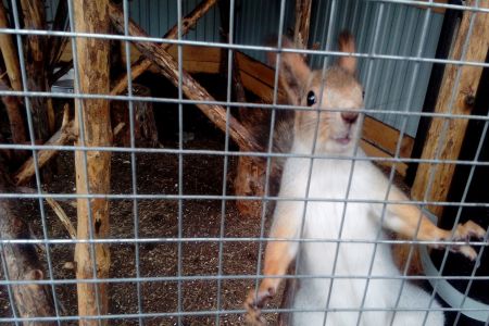 Спелеотерапия