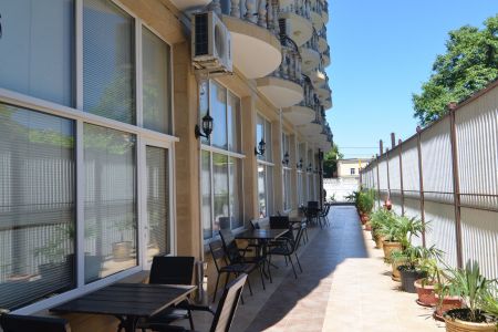 Внешний вид