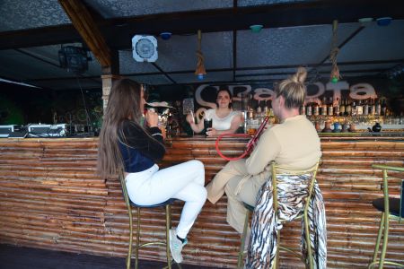 Внешний вид