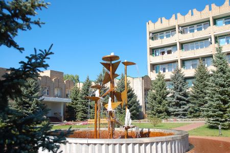 Внешний вид