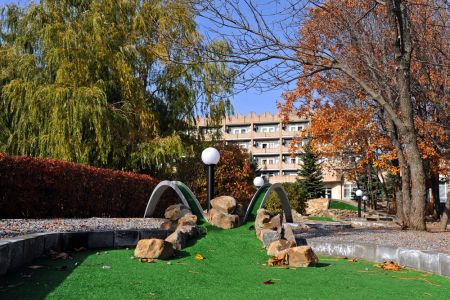 Внешний вид