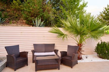 Внешний вид