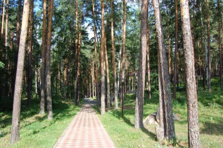 Внешний вид