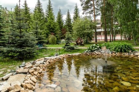 Внешний вид