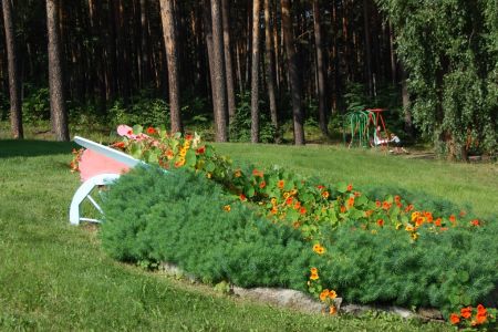 Внешний вид