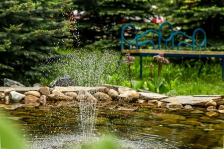 Внешний вид