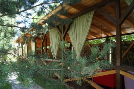 Внешний вид