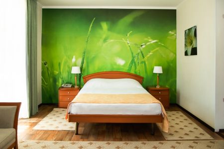 Внешний вид