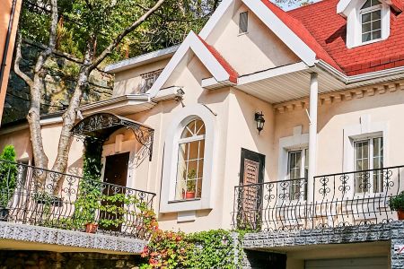 Внешний вид