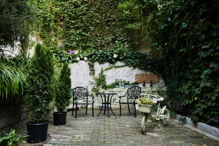 Внешний вид