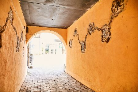 Внешний вид