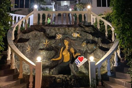 Внешний вид